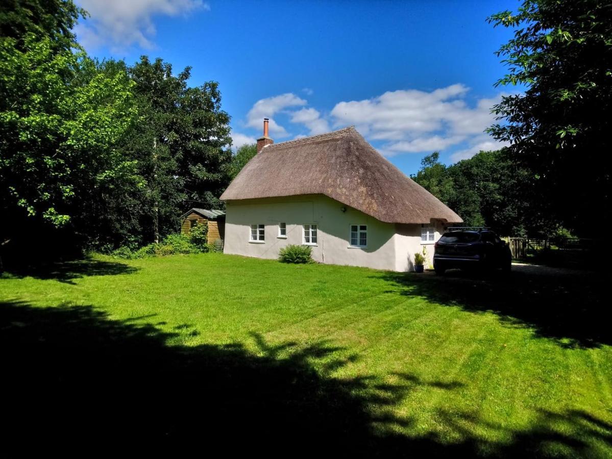 Honeysuckle Cottage Dorchester Bagian luar foto