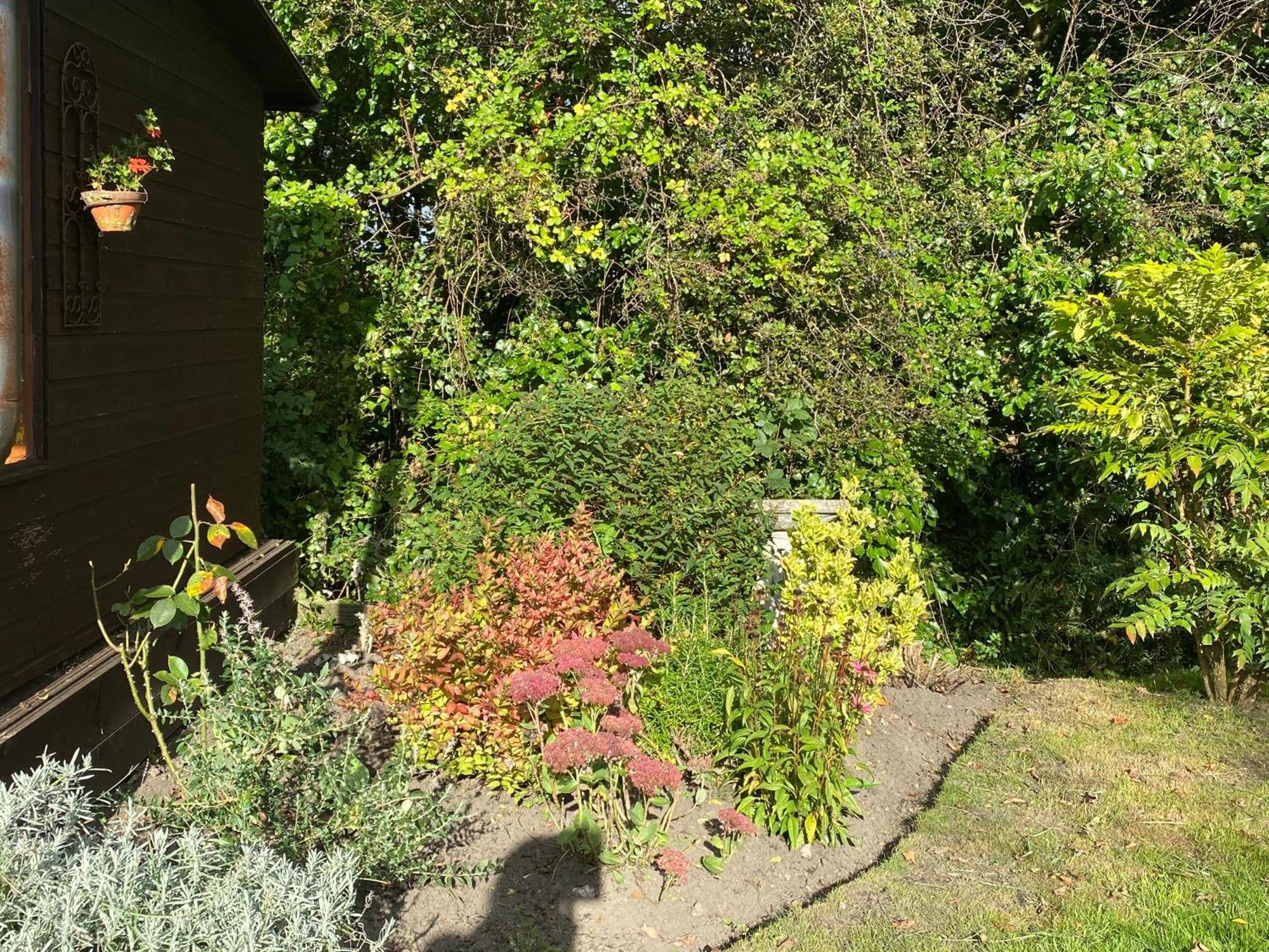 Honeysuckle Cottage Dorchester Bagian luar foto